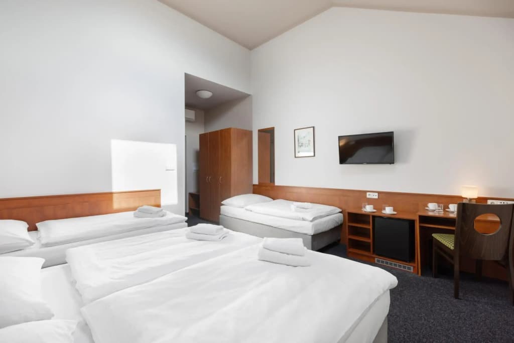 Hotel Beranek Prague - photo 7