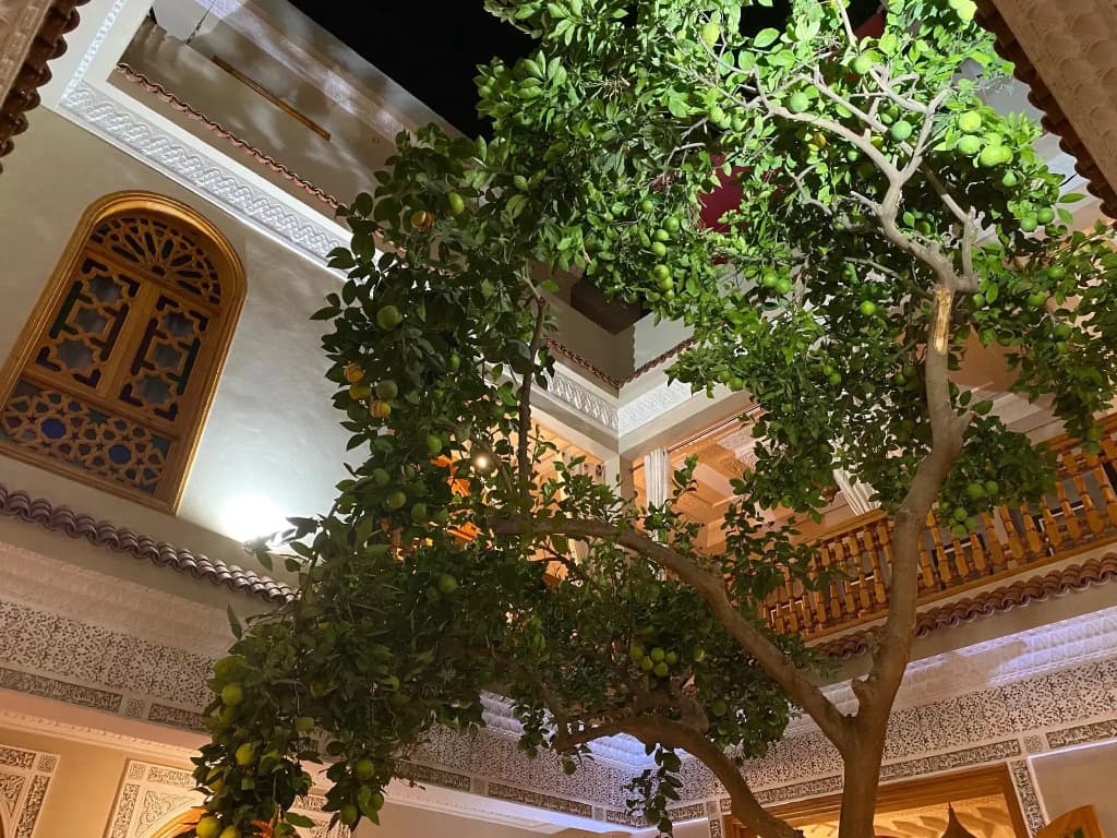 Riad Shajara - photo 3