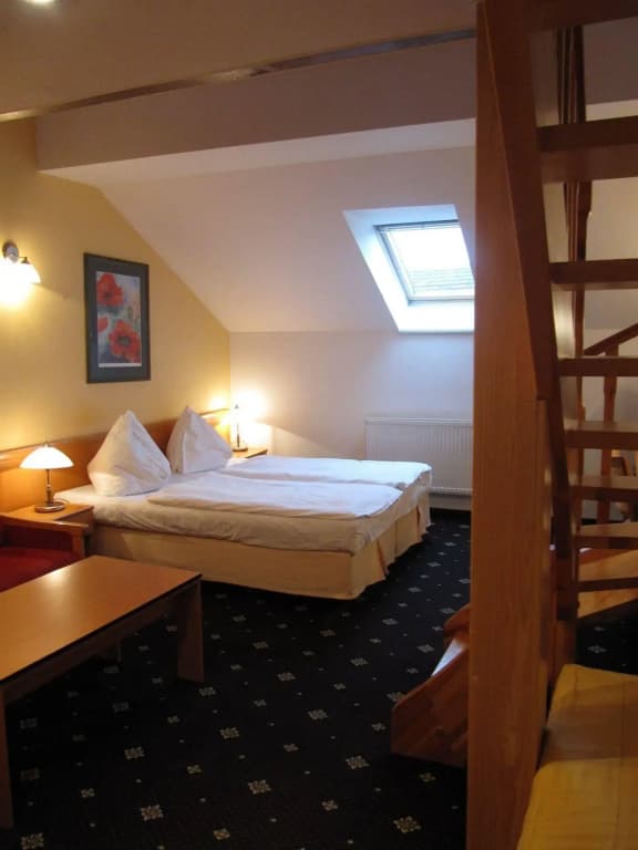 Hotel Máchova - photo 12