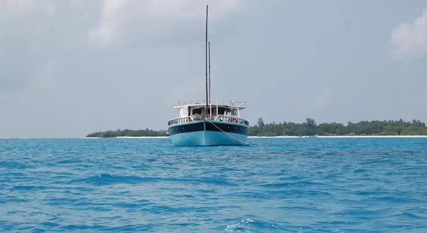 New Flying Fish - photo 8