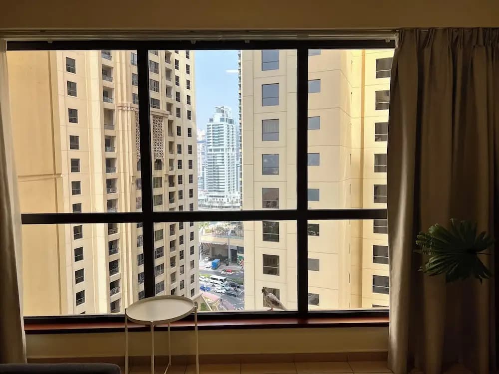 Robin Beach Hostel JBR - photo 18