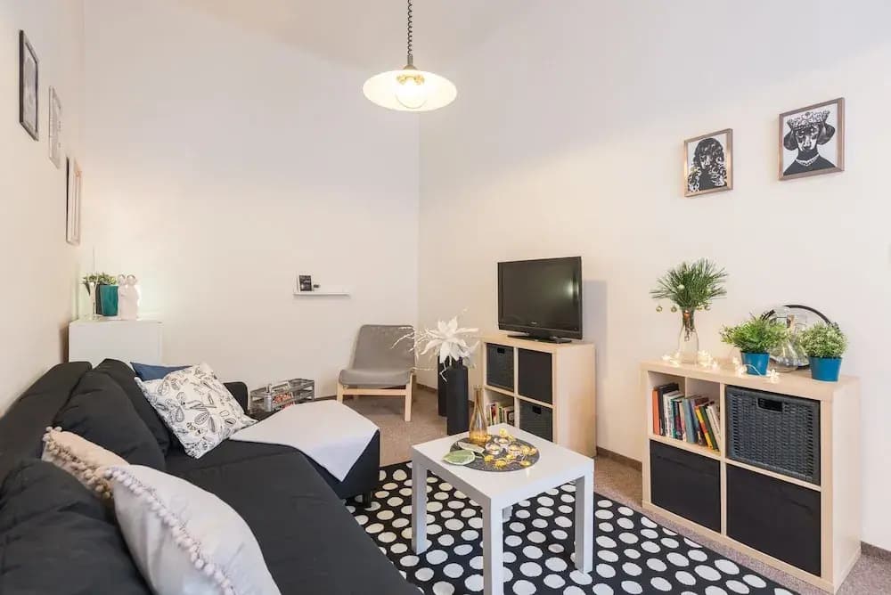 Vladislavova Apartments - photo 2