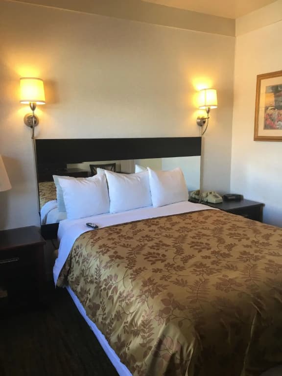 Pacific Heights Inn - photo 50