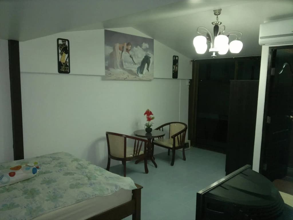 Joe Palace - photo 5