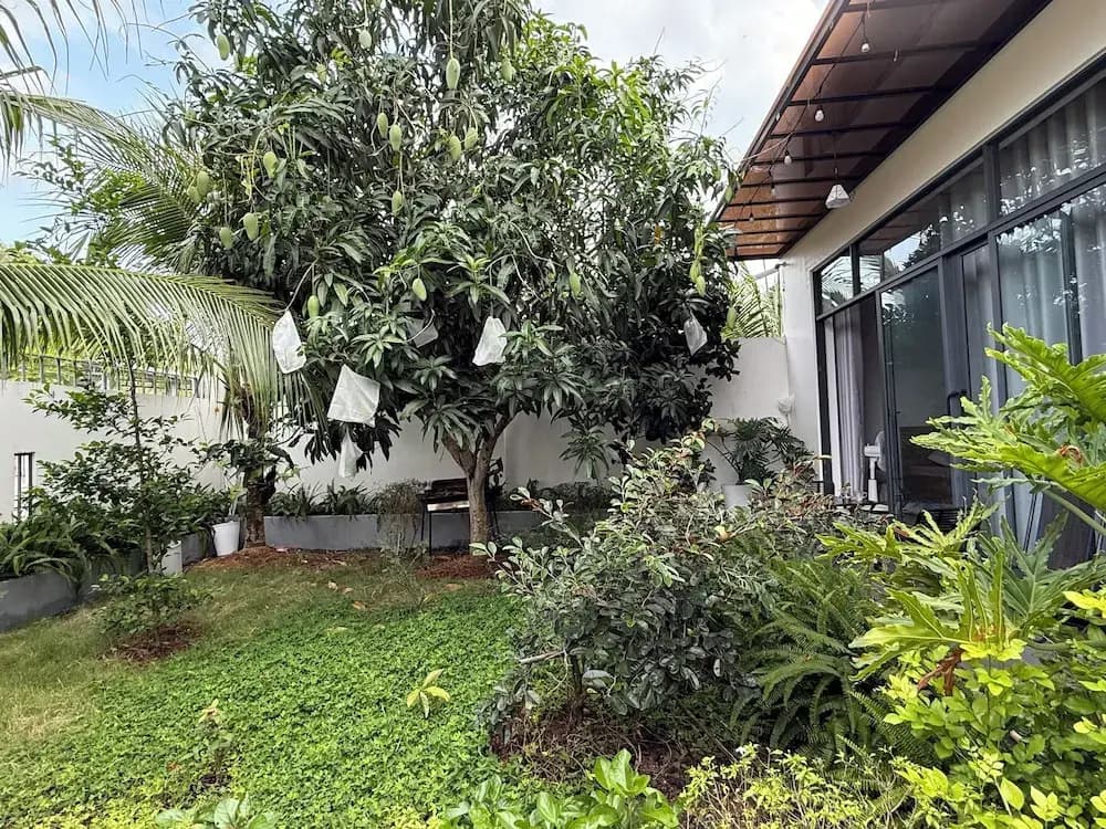 Homestay Halona - photo 31