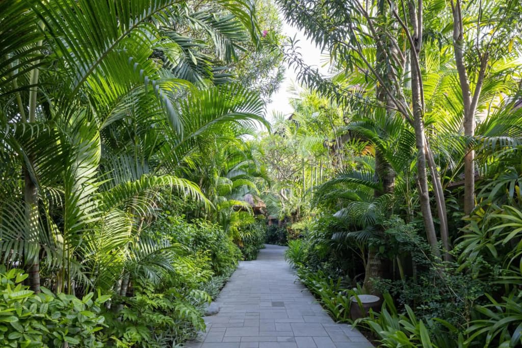 The Alantara Sanur - photo 30