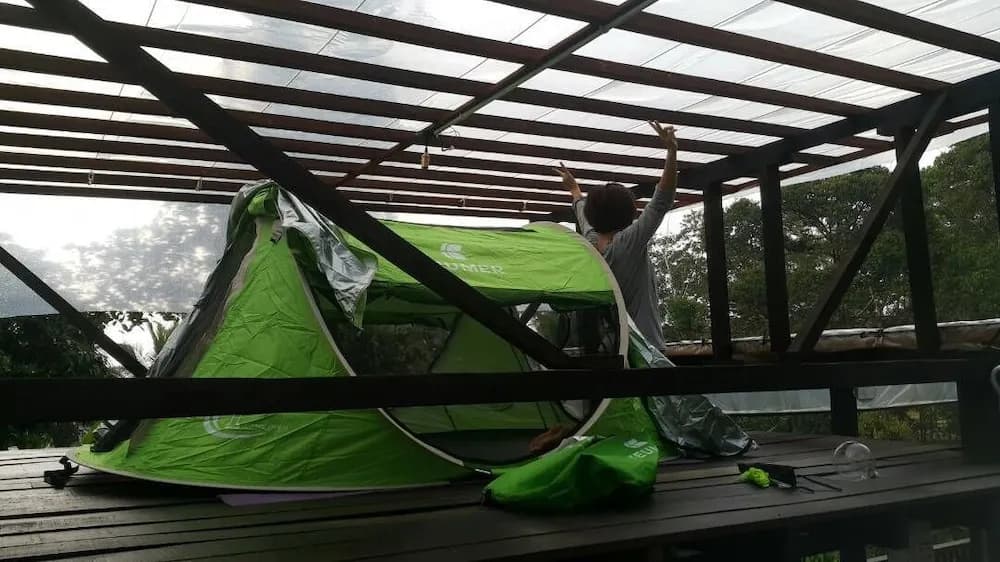 drmind farm - photo 7