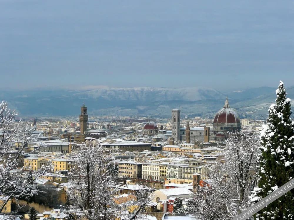 De Castellani - photo 8