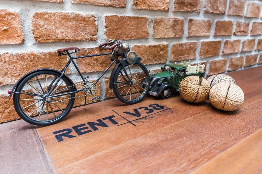 Rent V38 - photo 22