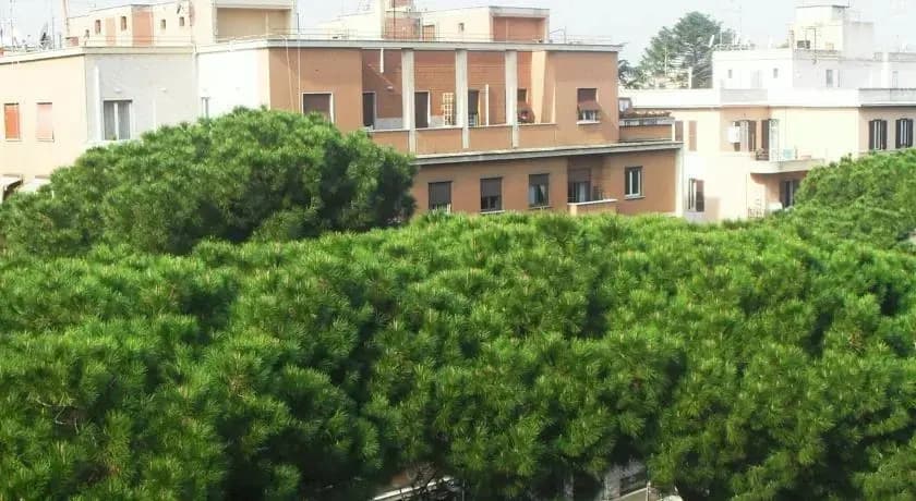 Via Appia Apartment - photo 6