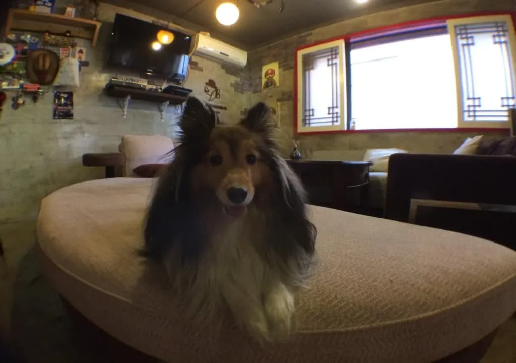 Mr.Comma Guesthouse - Hostel - photo 14
