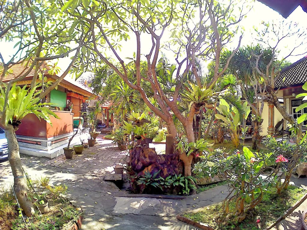 Surf Doggie Inn - photo 11