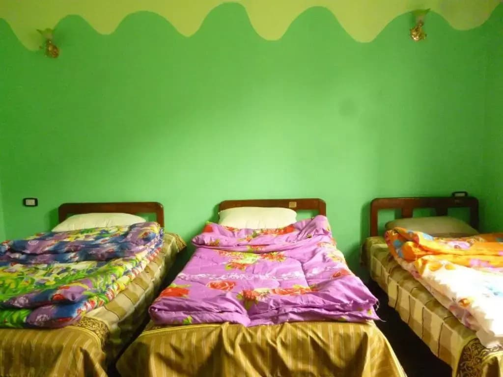 Safary Hotel - photo 2