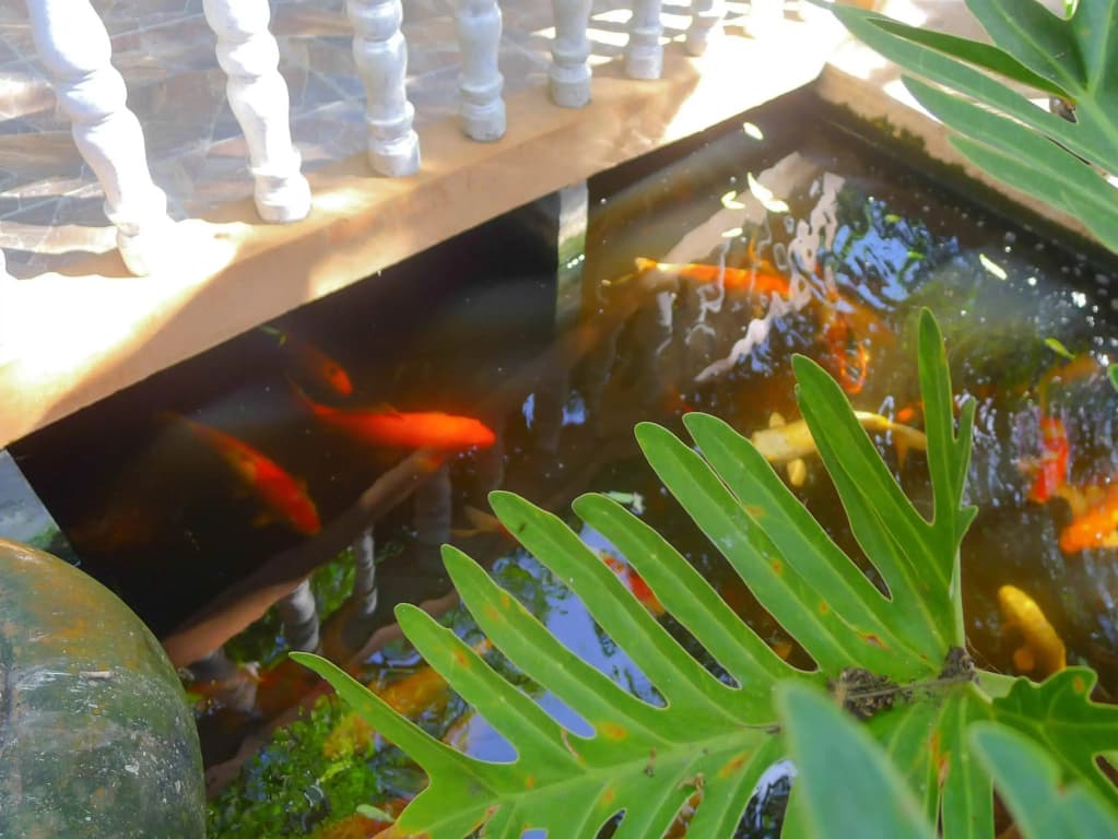 Garden Home Kata - photo 23