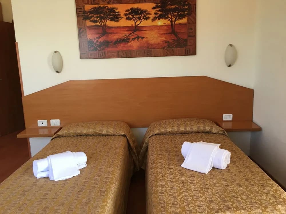 Oasi San Francesco Hotel - photo 4