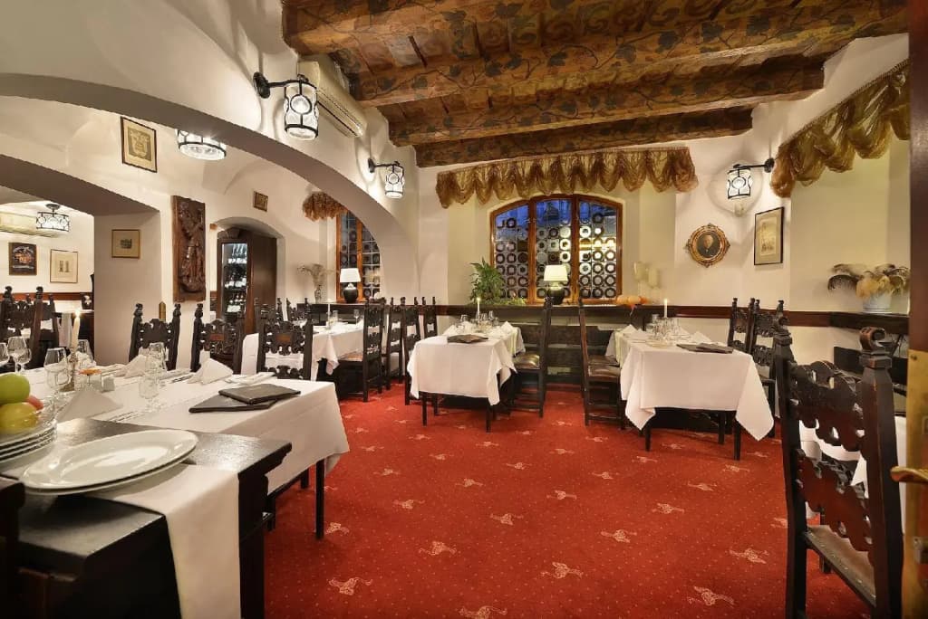 Hotel U Tri Pstrosu - photo 14