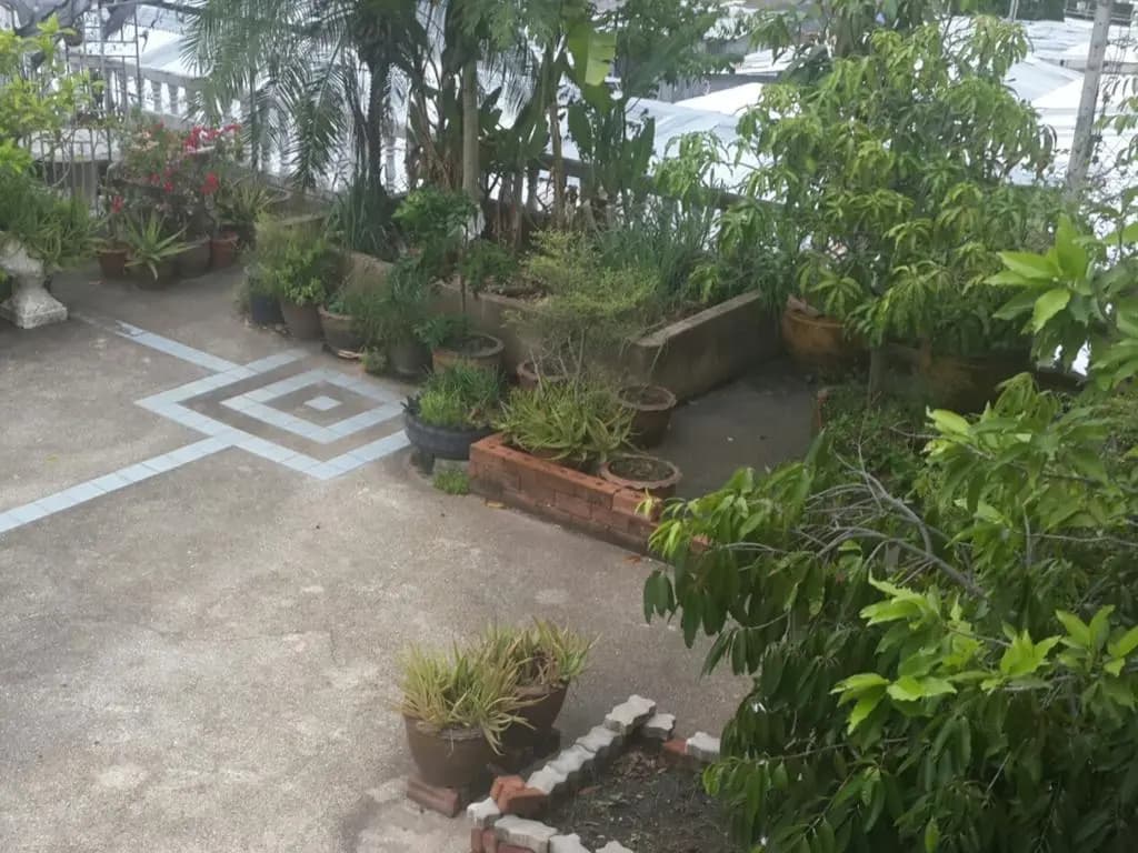 Vanilla Place - photo 18