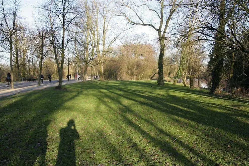 Borgmann Villa - photo 15