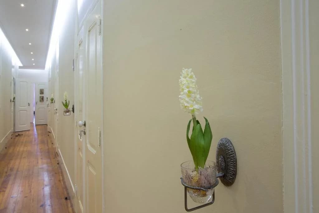 Typical Lisbon Guest House - photo 10