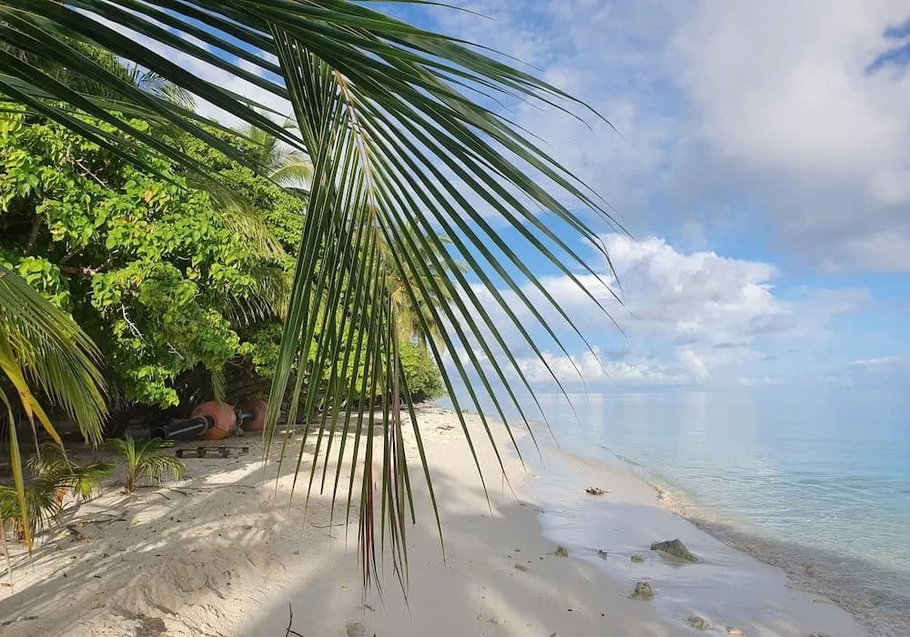 Ocean Beach Maldive - photo 14