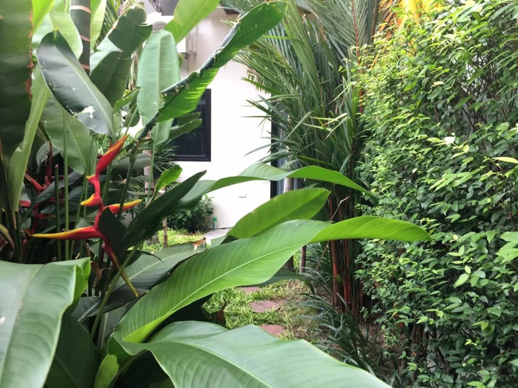 Tandeaw View (SHA Extra Plus) - photo 35