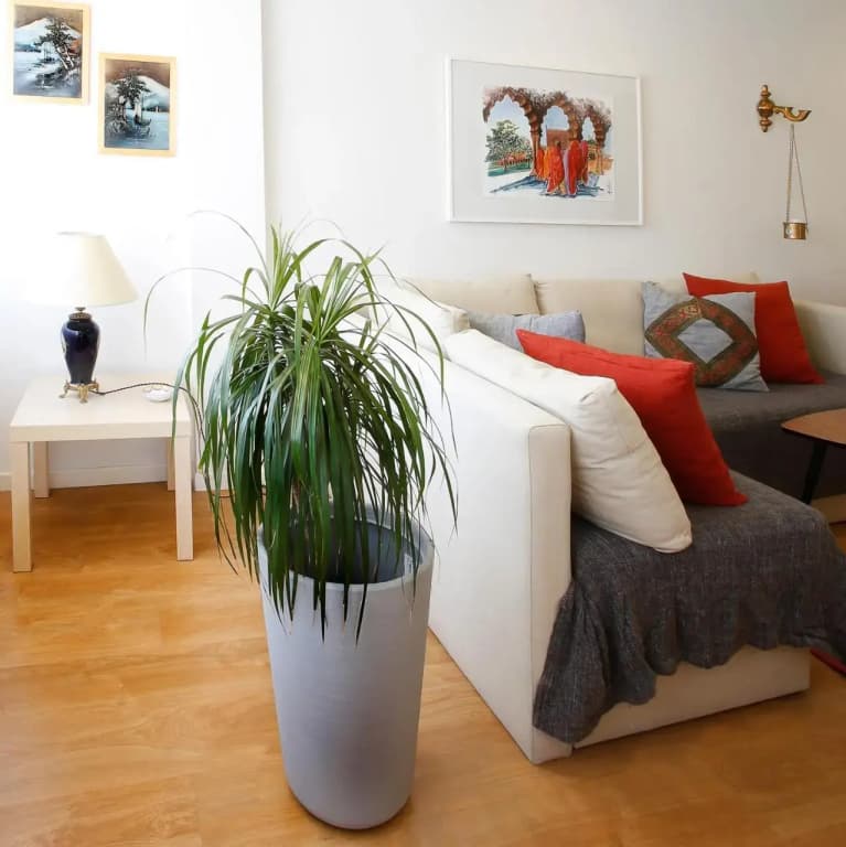 Anjos 44 Lisbon Apartments - photo 10