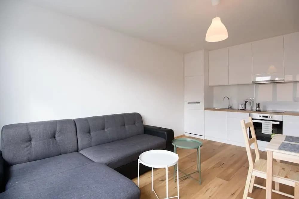 Central Apartment - Cityapartments - photo 15