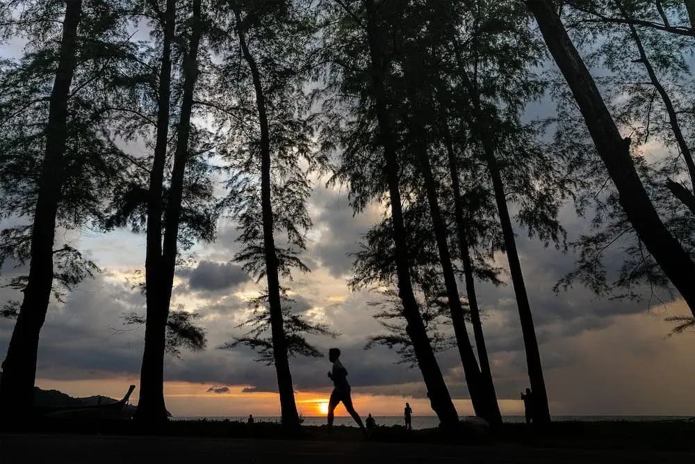 Anodard Phuket - photo 16