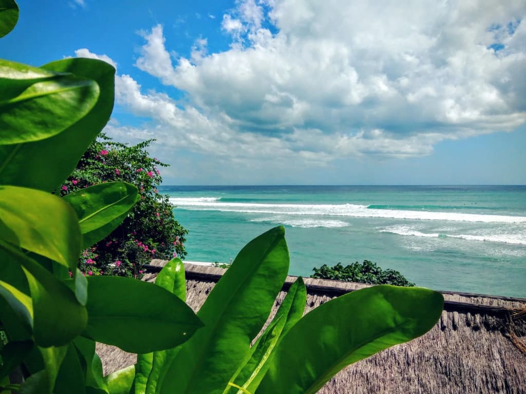 Rock 'n Reef Hotel - photo 10