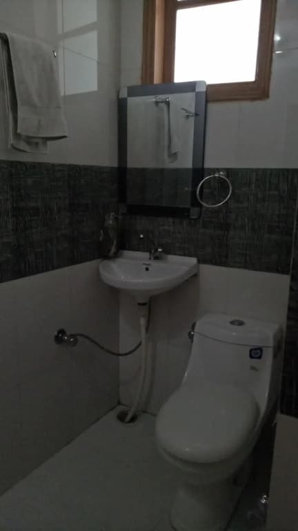 Airport Hotel Mahal - photo 10