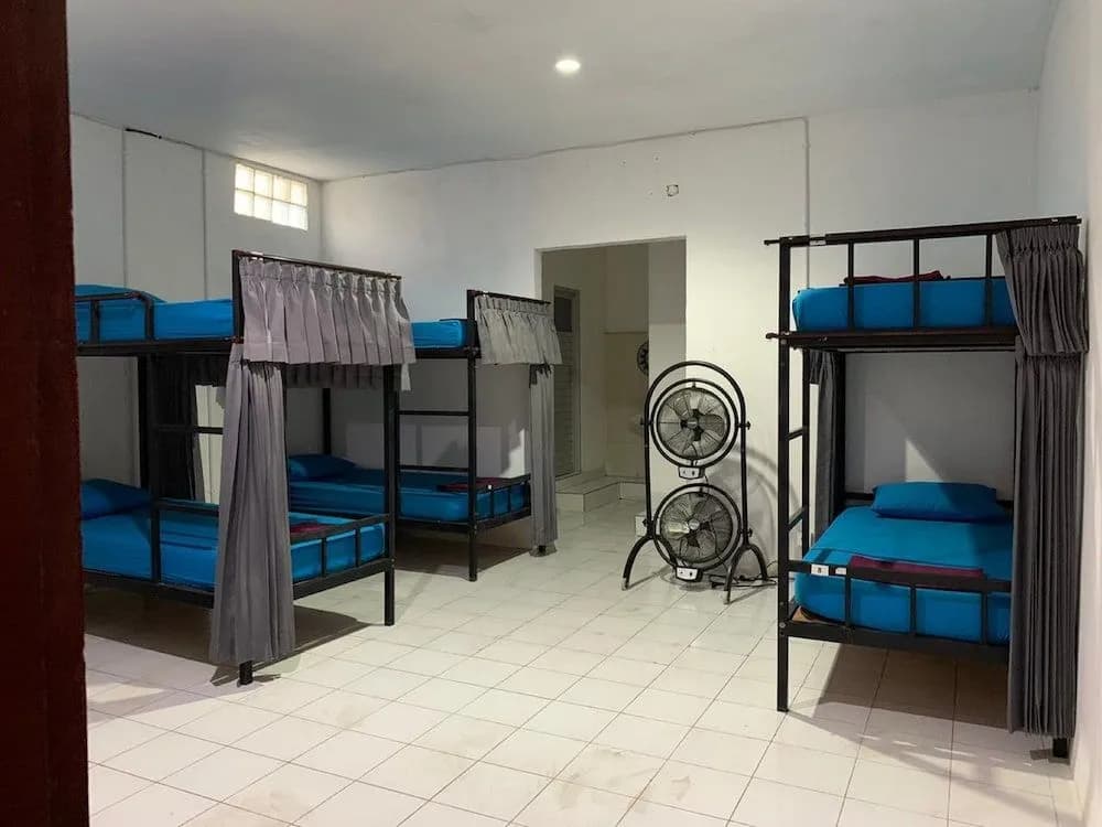 Arta Garden Guest House & Hostel - photo 5