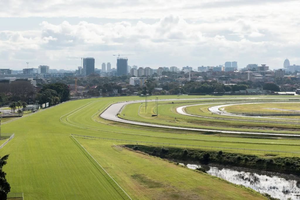 Randwick Space Hotel - photo 20