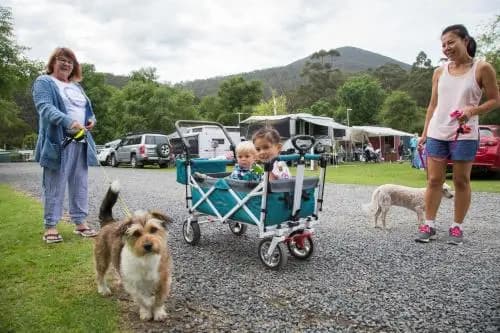 Warburton Holiday Park - photo 23