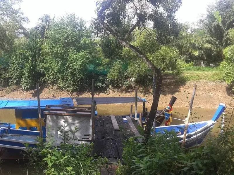 Yesterday Country Resort - photo 11
