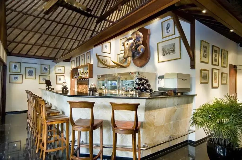 Mason Elephant Lodge - photo 21