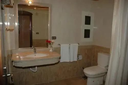 Arabia Hotel - photo 8