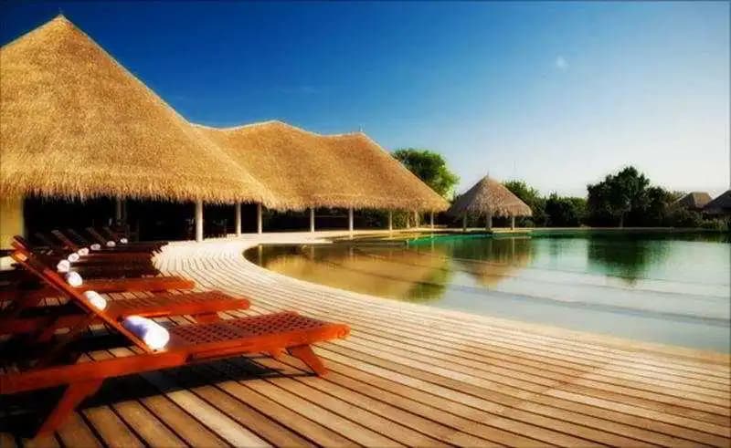 J Resort Alidhoo - photo 7