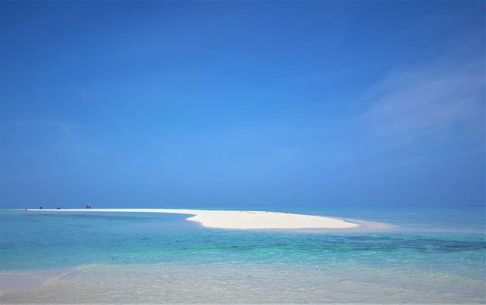 Explore Island Inn - photo 10