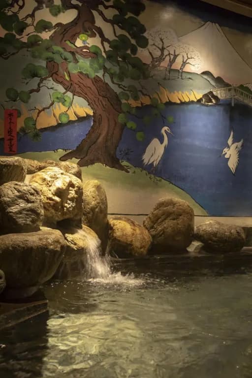 Dormy Inn Korakuen Hot Springs - photo 22