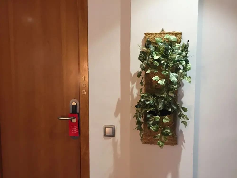 Hostal Apolo - photo 12