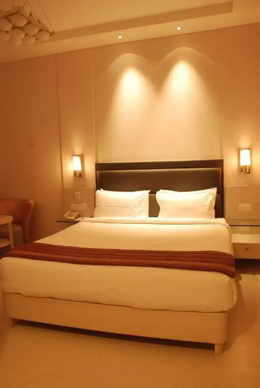 Sarovar Portico Naraina Delhi - photo 44