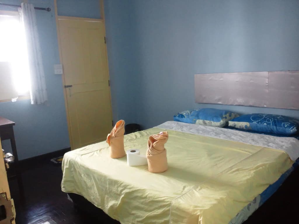 Nalin Guesthouse - photo 1