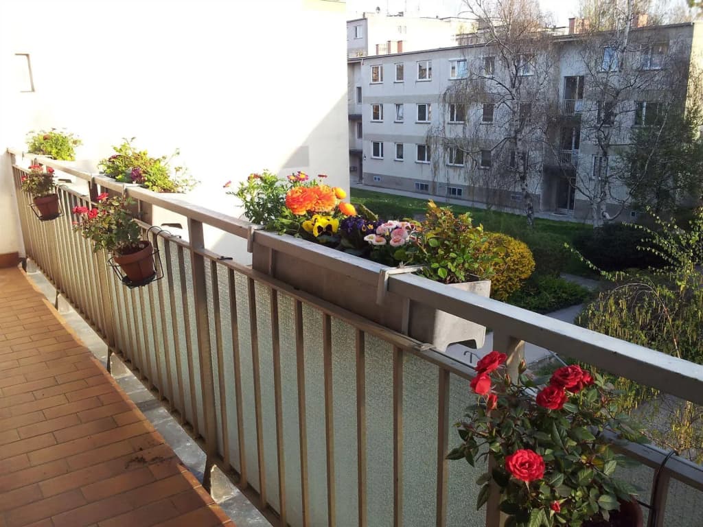 Apartment24 Schnbrunn - photo 10