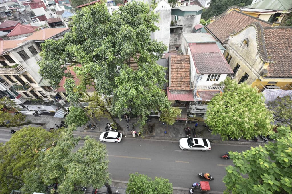 Ibiz City Hostel - photo 13