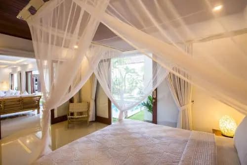 Deluxe Kamboja Villa - photo 5
