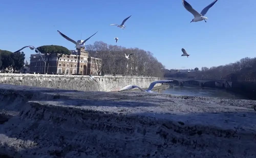 Lungotevere Collection Suite - photo 11