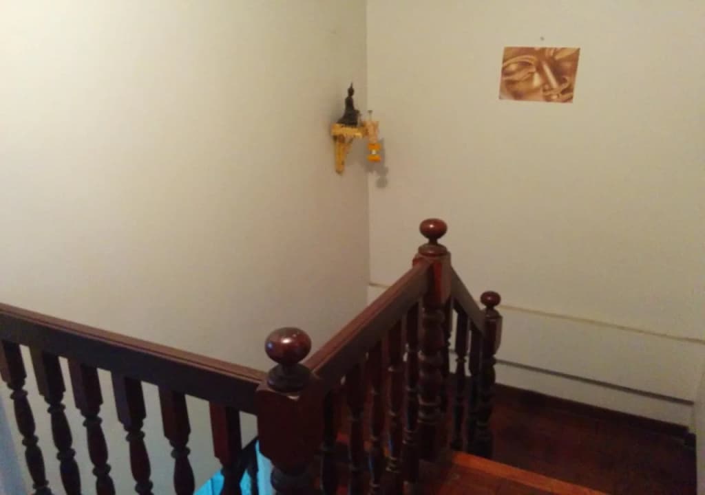 Big Mango Tree Guesthouse - photo 6