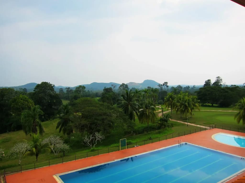Gemas Golf Resort - photo 11