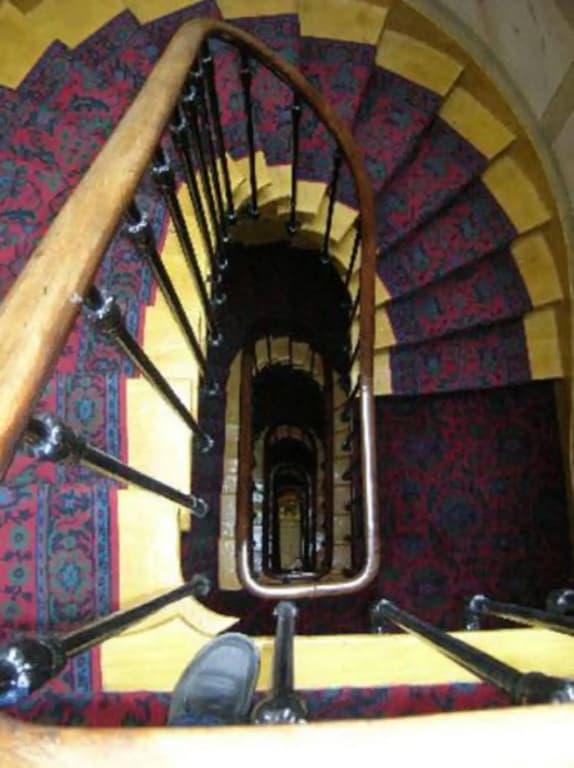 Tiquetonne - photo 10