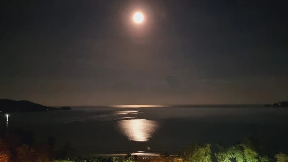 Patong Tower Cozy Comfy Luxury Apartment With Seaview, for 1-3 People, in Phuket - photo 44